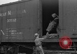 Immagine di Abeti Washington State United States USA, 1938, secondo 35 filmato di repertorio 65675050145