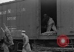 Immagine di Abeti Washington State United States USA, 1938, secondo 36 filmato di repertorio 65675050145