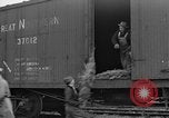 Immagine di Abeti Washington State United States USA, 1938, secondo 37 filmato di repertorio 65675050145