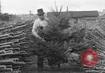 Immagine di Abeti Washington State United States USA, 1938, secondo 41 filmato di repertorio 65675050145