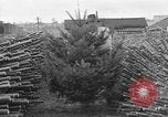 Immagine di Abeti Washington State United States USA, 1938, secondo 43 filmato di repertorio 65675050145