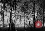 Image of forest fire New Jersey United States USA, 1951, second 7 stock footage video 65675050154