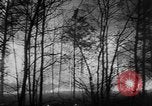 Image of forest fire New Jersey United States USA, 1951, second 8 stock footage video 65675050154