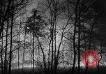 Image of forest fire New Jersey United States USA, 1951, second 9 stock footage video 65675050154