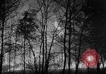 Image of forest fire New Jersey United States USA, 1951, second 10 stock footage video 65675050154