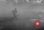 Image of forest fire New Jersey United States USA, 1951, second 33 stock footage video 65675050154