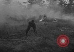 Image of forest fire New Jersey United States USA, 1951, second 35 stock footage video 65675050154