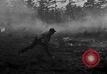Image of forest fire New Jersey United States USA, 1951, second 37 stock footage video 65675050154