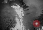 Image of forest fire New Jersey United States USA, 1951, second 38 stock footage video 65675050154