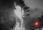 Image of forest fire New Jersey United States USA, 1951, second 39 stock footage video 65675050154