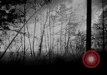 Image of forest fire New Jersey United States USA, 1951, second 42 stock footage video 65675050154
