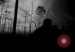 Image of forest fire New Jersey United States USA, 1951, second 45 stock footage video 65675050154