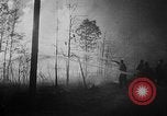 Image of forest fire New Jersey United States USA, 1951, second 46 stock footage video 65675050154