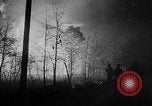 Image of forest fire New Jersey United States USA, 1951, second 48 stock footage video 65675050154