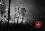 Image of forest fire New Jersey United States USA, 1951, second 49 stock footage video 65675050154