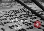 Standbild United States Marine Corps California United States USA, 1949, aus Sekunde 3 historischem Filmmaterial Videoclip 65675050159