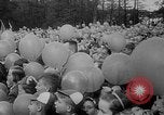 Image of Princess Juliana Holland Netherlands, 1949, second 8 stock footage video 65675050160