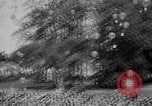 Image of Princess Juliana Holland Netherlands, 1949, second 30 stock footage video 65675050160