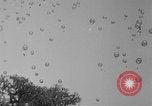 Image of Princess Juliana Holland Netherlands, 1949, second 32 stock footage video 65675050160