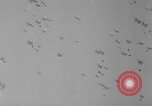 Image of Princess Juliana Holland Netherlands, 1949, second 34 stock footage video 65675050160