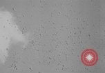 Image of Princess Juliana Holland Netherlands, 1949, second 37 stock footage video 65675050160