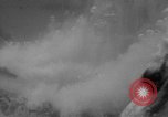 Image of American Divers Miami Florida USA, 1949, second 9 stock footage video 65675050163