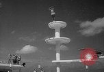 Image of American Divers Miami Florida USA, 1949, second 17 stock footage video 65675050163