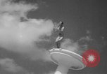 Image of American Divers Miami Florida USA, 1949, second 52 stock footage video 65675050163
