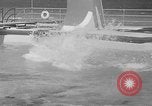 Image of American Divers Miami Florida USA, 1949, second 61 stock footage video 65675050163