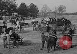Image of WPA Pine Mountain Valley Project Pine Mountain Valley Georgia USA, 1937, second 3 stock footage video 65675050180