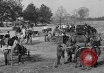 Image of WPA Pine Mountain Valley Project Pine Mountain Valley Georgia USA, 1937, second 12 stock footage video 65675050180