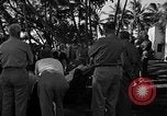 Image of President Franklin D. Roosevelt Honolulu Hawaii USA, 1944, second 37 stock footage video 65675050201