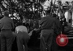 Image of President Franklin D. Roosevelt Honolulu Hawaii USA, 1944, second 38 stock footage video 65675050201