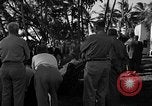 Image of President Franklin D. Roosevelt Honolulu Hawaii USA, 1944, second 40 stock footage video 65675050201
