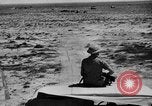 Image of British soldiers retrieve a disabled tank while being shelled North Africa, 1941, second 38 stock footage video 65675050209