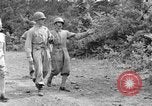 Image of French-North African Commission North Africa, 1943, second 4 stock footage video 65675050211