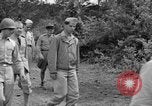 Image of French-North African Commission North Africa, 1943, second 11 stock footage video 65675050211