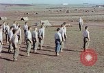 Image of American 15th Infantry Troops Casablanca Morocco, 1942, second 7 stock footage video 65675050218