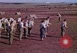 Image of American 15th Infantry Troops Casablanca Morocco, 1942, second 14 stock footage video 65675050218
