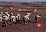 Image of American 15th Infantry Troops Casablanca Morocco, 1942, second 16 stock footage video 65675050218