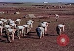 Image of American 15th Infantry Troops Casablanca Morocco, 1942, second 18 stock footage video 65675050218