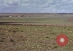 Image of Colonel TH Monroe Casablanca Morocco, 1942, second 41 stock footage video 65675050219