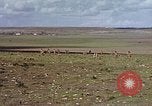 Image of Colonel TH Monroe Casablanca Morocco, 1942, second 42 stock footage video 65675050219
