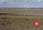Image of Colonel TH Monroe Casablanca Morocco, 1942, second 43 stock footage video 65675050219