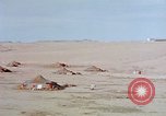 Image of Moroccan desert Casablanca Morocco, 1942, second 27 stock footage video 65675050220