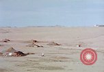 Image of Moroccan desert Casablanca Morocco, 1942, second 28 stock footage video 65675050220