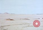 Image of Moroccan desert Casablanca Morocco, 1942, second 51 stock footage video 65675050220
