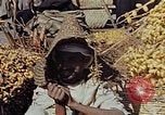 Image of snake charmer Marrakesh Morocco, 1942, second 36 stock footage video 65675050221