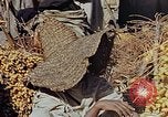 Image of snake charmer Marrakesh Morocco, 1942, second 38 stock footage video 65675050221