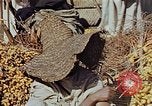 Image of snake charmer Marrakesh Morocco, 1942, second 39 stock footage video 65675050221